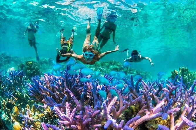 Catamarán & Snorkel — Aventura entre Islas - foto 2