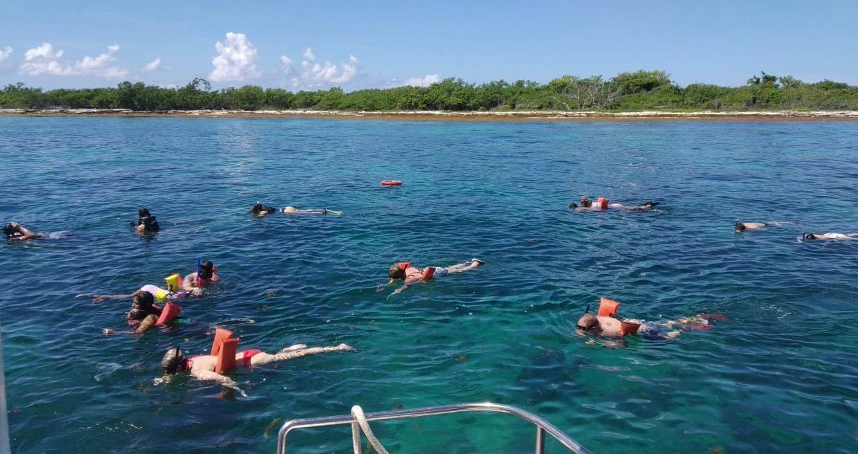 Catamarán & Snorkel — Aventura entre Islas - foto 3