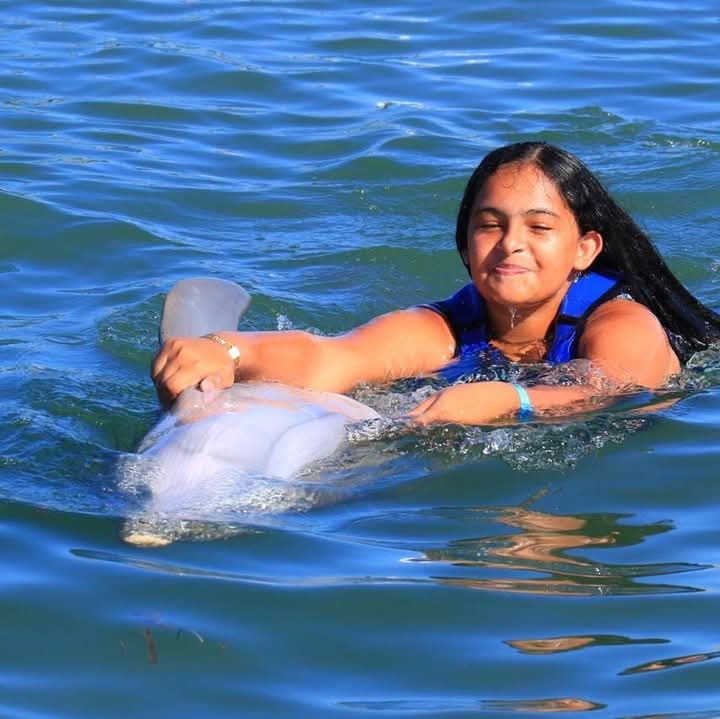Dolphin Adventure — Delfines y Vida Marina