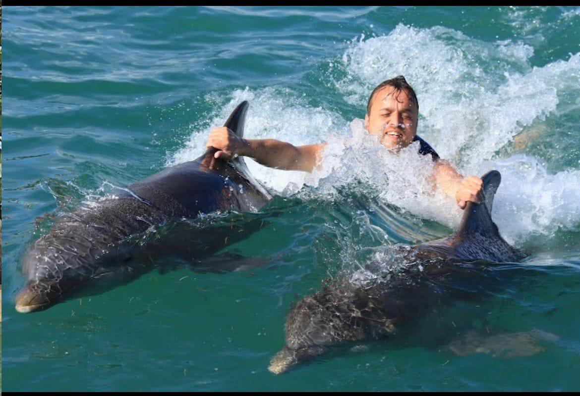 Dolphin Adventure — Delfines y Vida Marina - foto 2