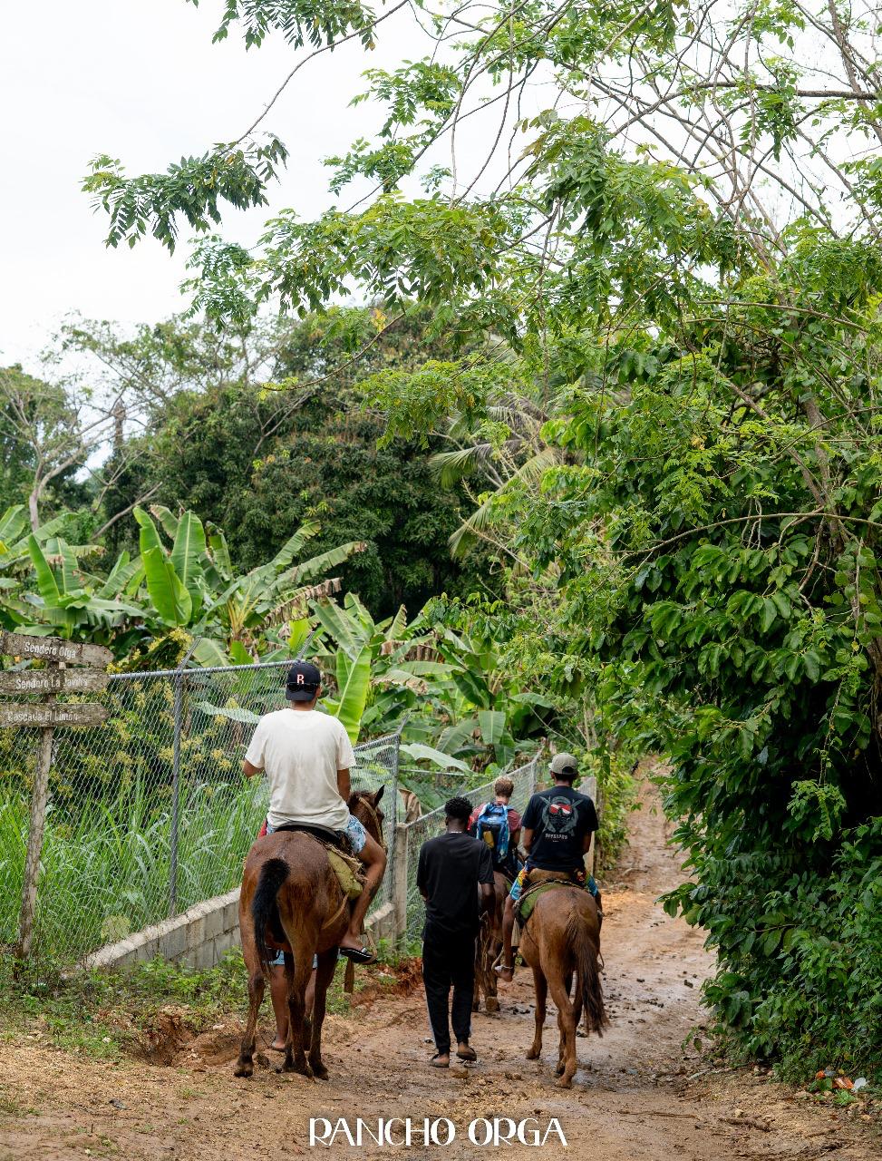 Safari Dominicana — Naturaleza y Cultura - foto 2