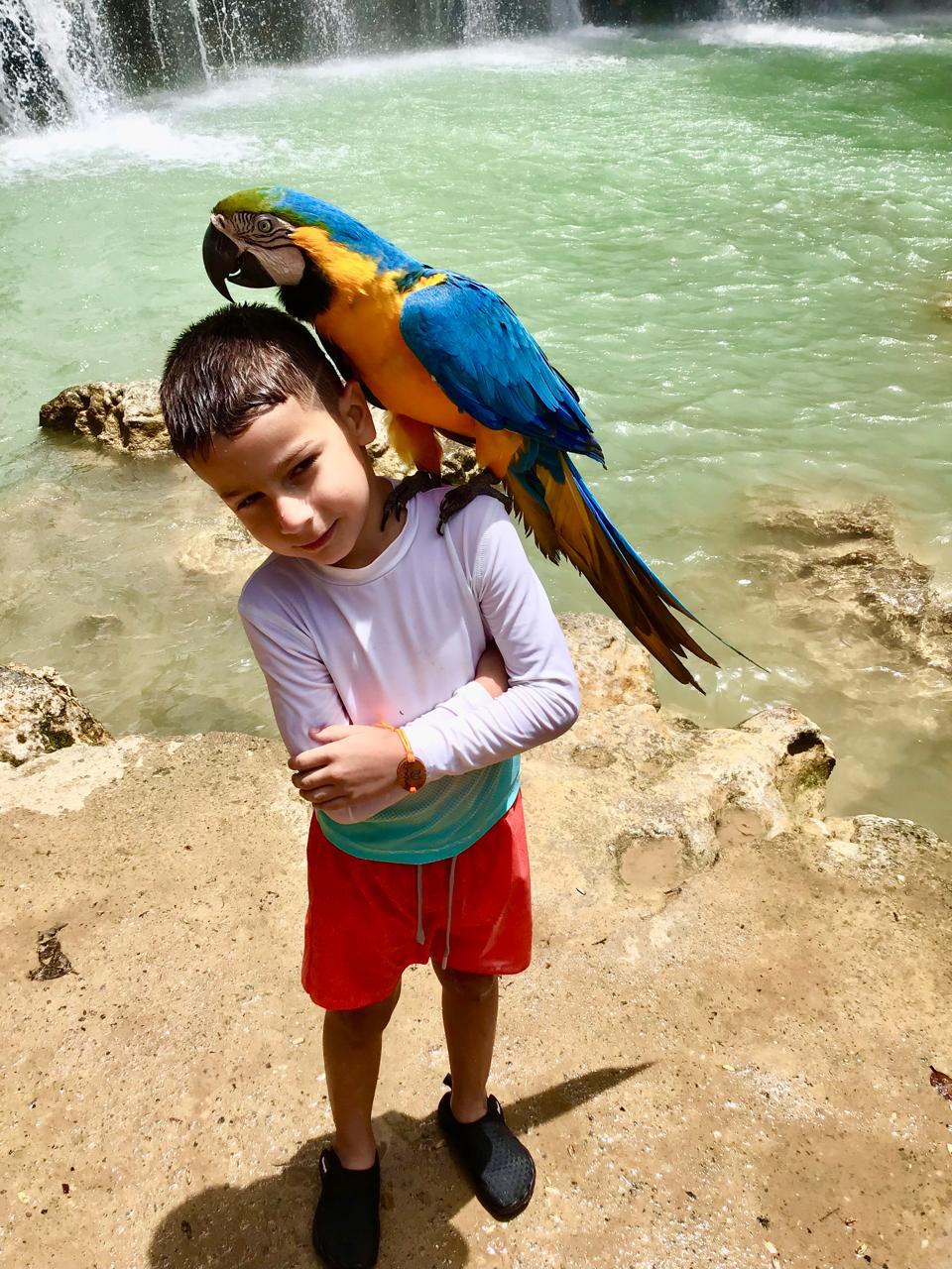 Safari Dominicana — Naturaleza y Cultura - foto 3